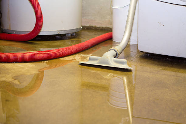 Best Basement water damage restoration  in Gore, OK